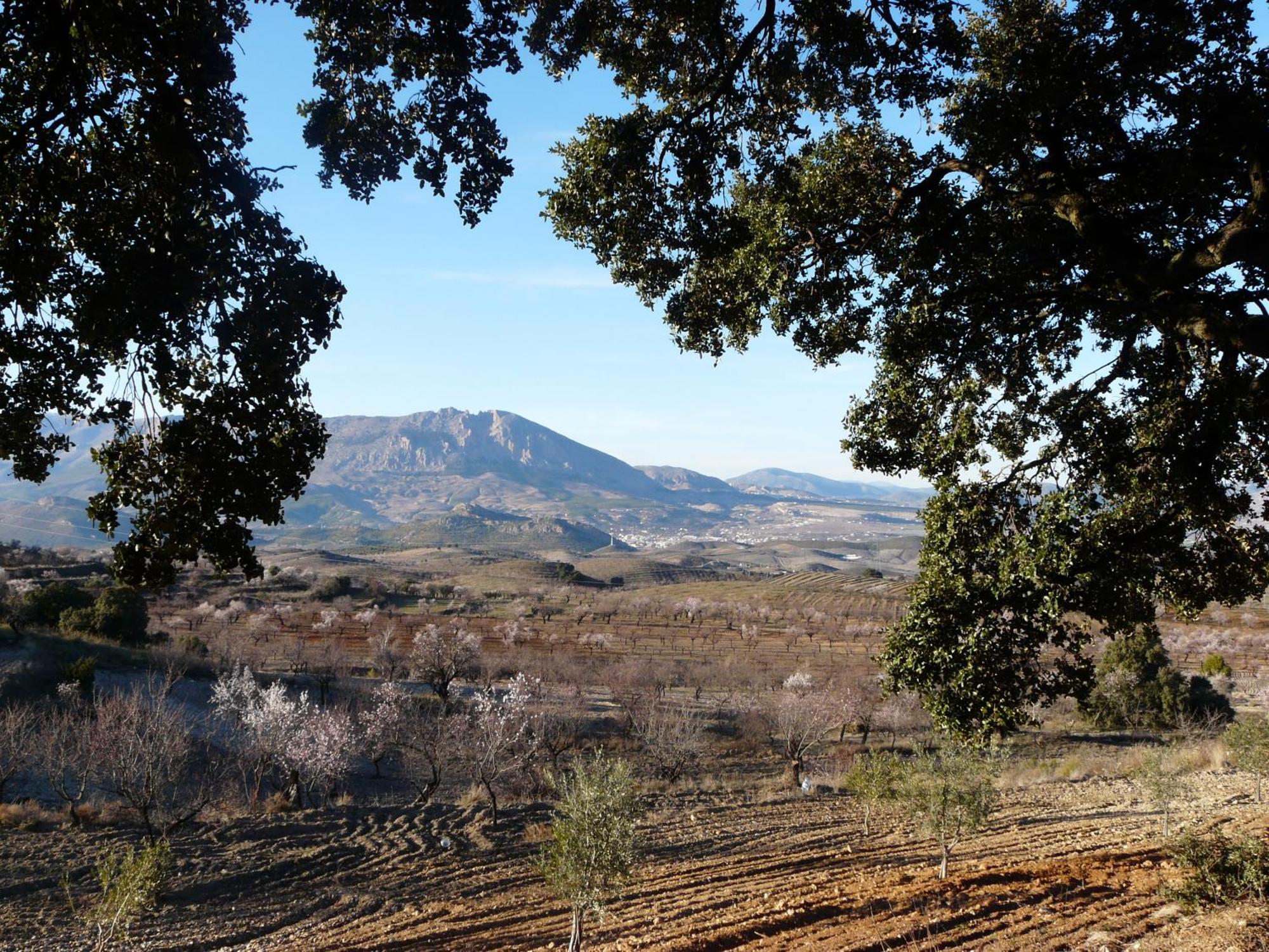 Cortijo La Estrella Apartman Vélez Rubio Kültér fotó