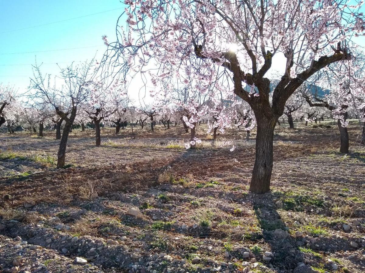 Cortijo La Estrella Apartman Vélez Rubio Kültér fotó